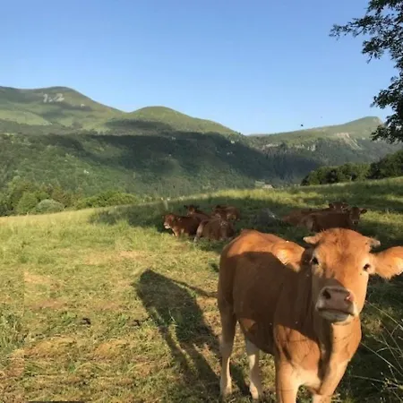 Beau T2 Avec Terrasse, Parking Et Wifi A 300m Des Thermes - Fr-1-608-98 * Le Mont-Dore
