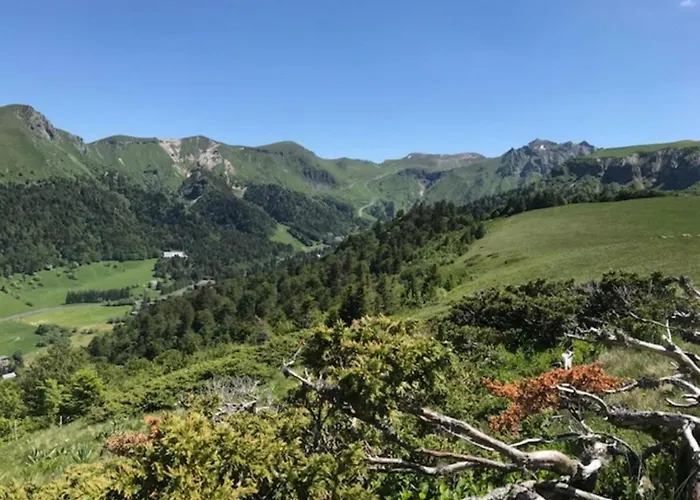 Apartment Beau T2 Avec Terrasse, Parking Et Wifi A 300m Des Thermes - Fr-1-608-98 Le Mont-Dore