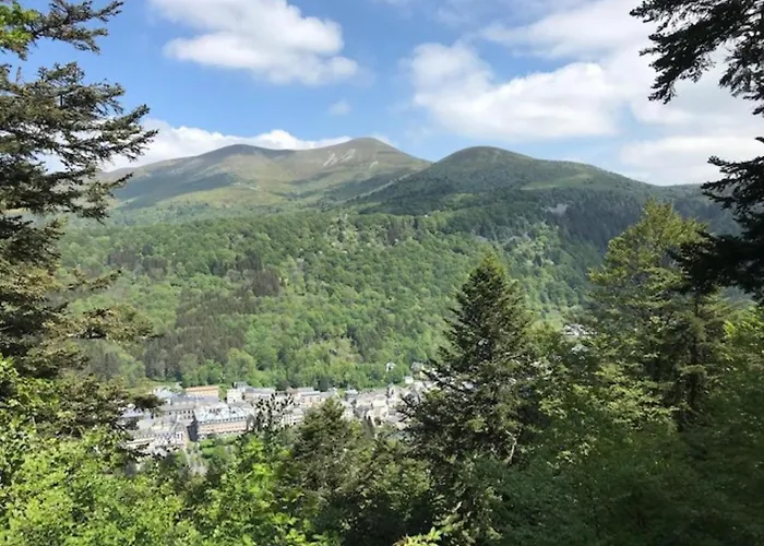 Apartment Beau T2 Avec Terrasse, Parking Et Wifi A 300m Des Thermes - Fr-1-608-98