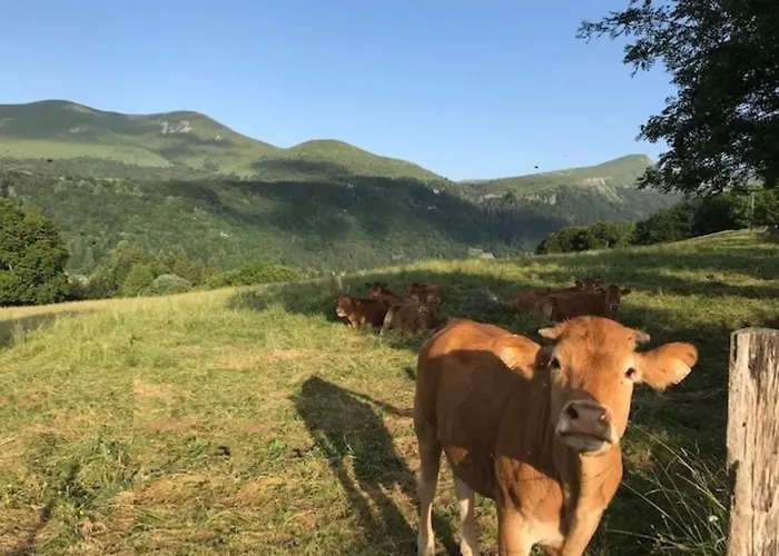 Beau T2 Avec Terrasse, Parking Et Wifi A 300m Des Thermes - Fr-1-608-98 * Le Mont-Dore